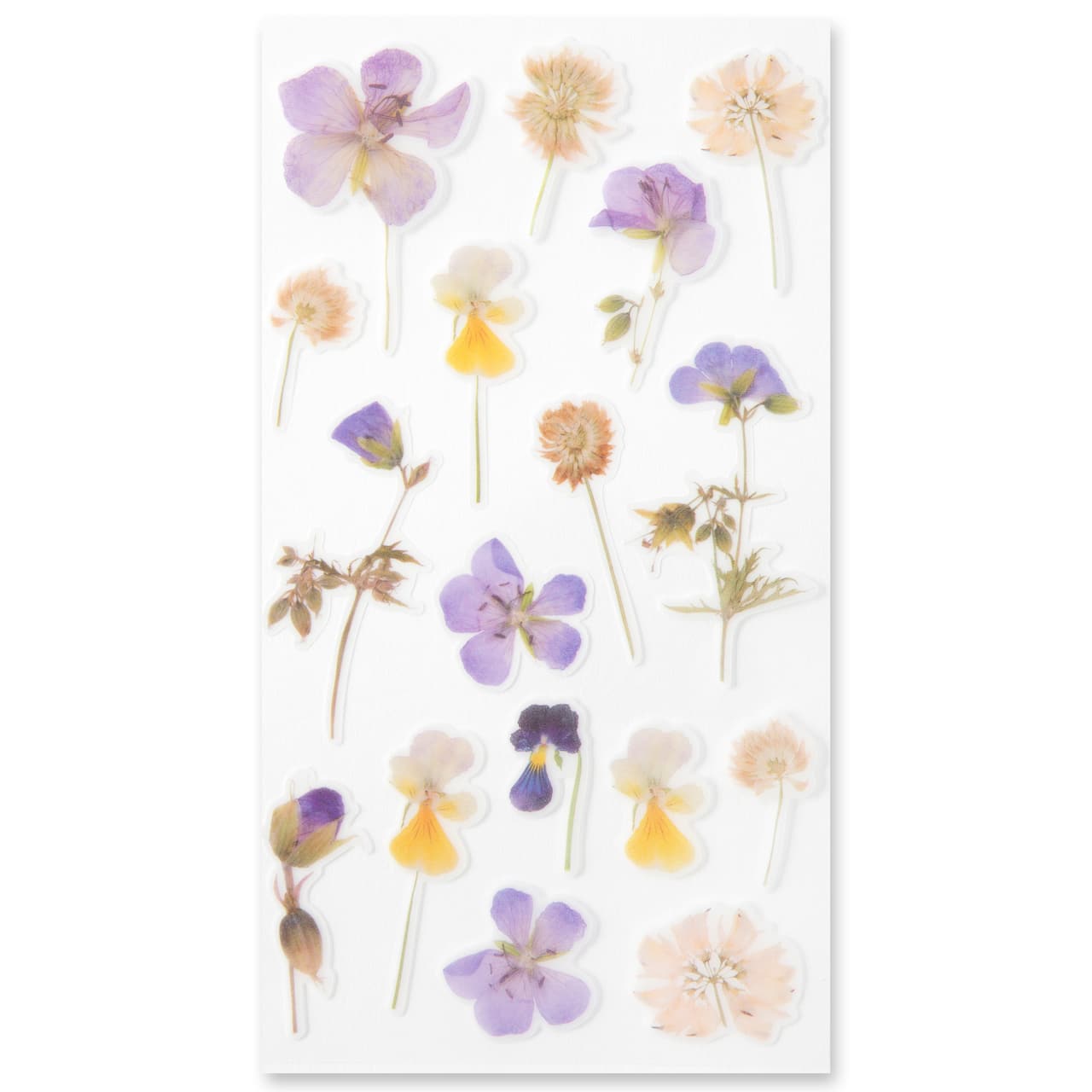 12 Pack: Pansy Flower Stickers by Recollections™
